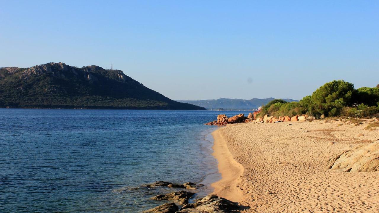Villas Cala Corsa - 3 Et 4 Chambres - Cala Rossa Porto-Vecchio - Villas Entierement Climatisees Avec Piscine Chauffee Partagee Et Piscines Privees - Internet Gratuit Экстерьер фото